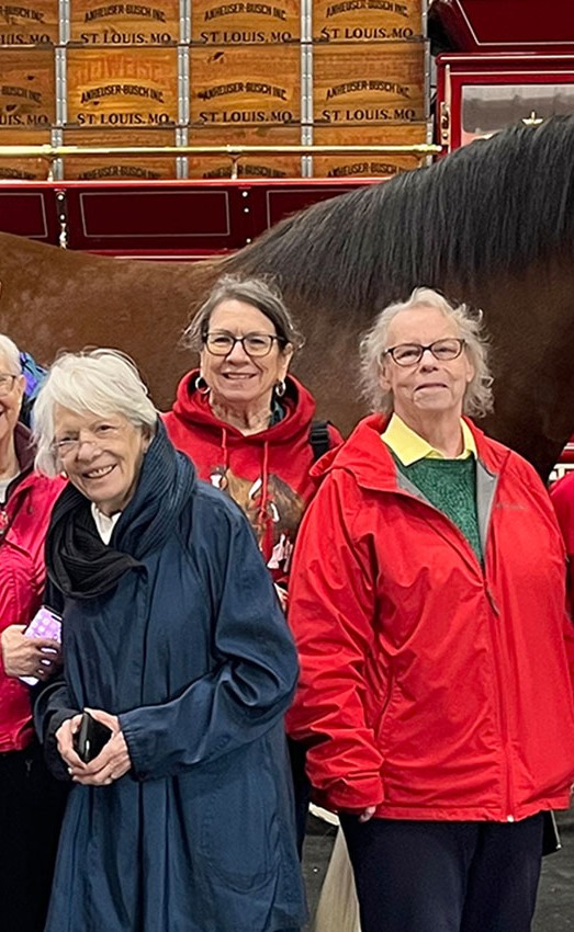 Residents standing in front of a horse on a tour.