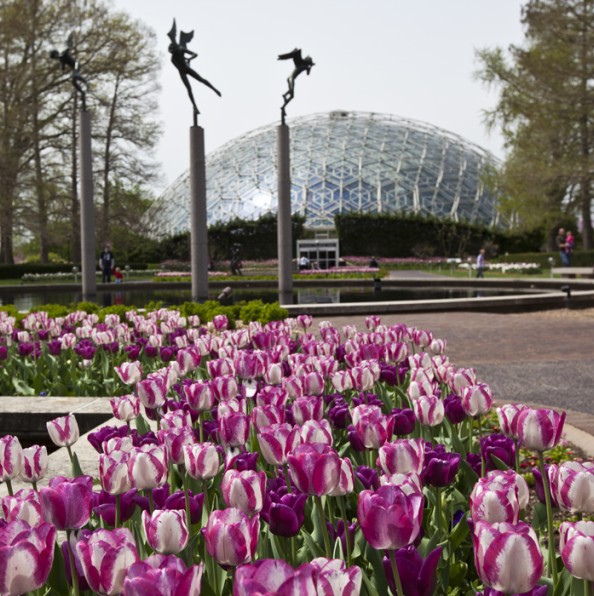 Missouri Botanical Gardens