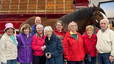 Residents standing in front of a horse on a tour.